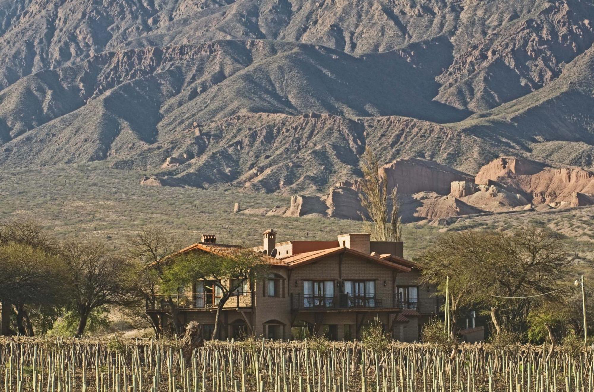 La Casa De La Bodega - Wine Boutique Hotel カファヤテ エクステリア 写真