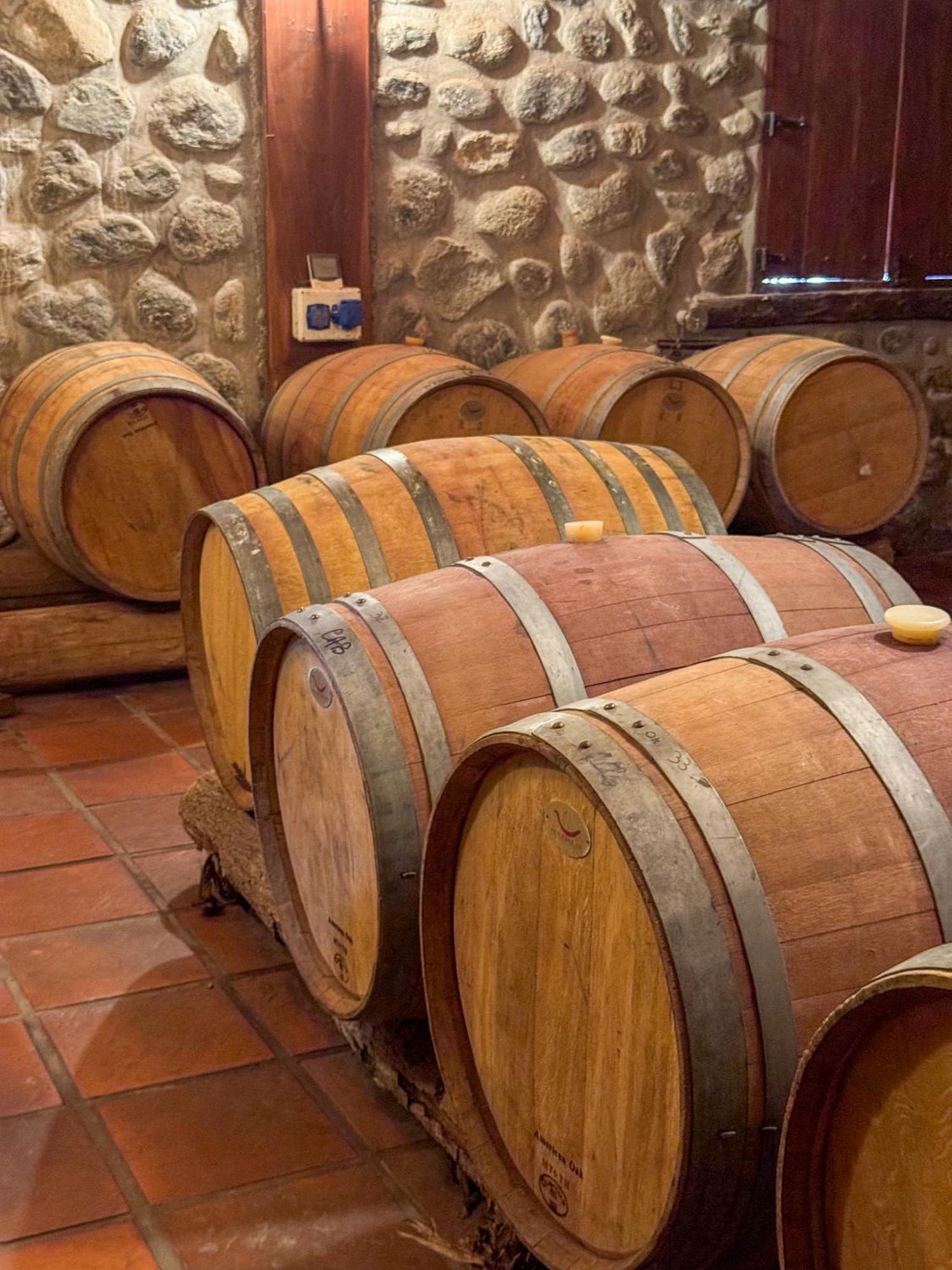 La Casa De La Bodega - Wine Boutique Hotel カファヤテ エクステリア 写真