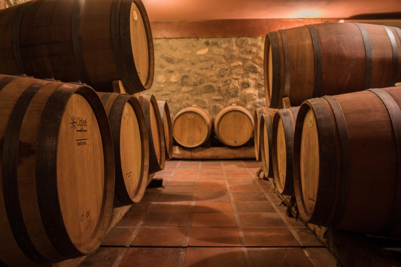La Casa De La Bodega - Wine Boutique Hotel カファヤテ エクステリア 写真